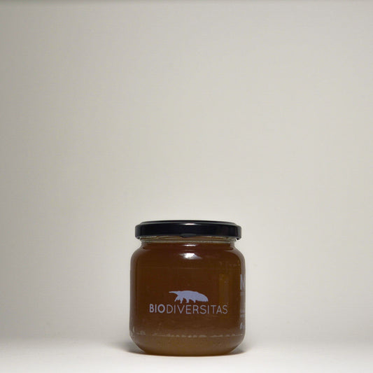Miel de Abejas